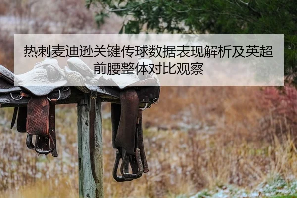 热刺麦迪逊关键传球数据表现解析及英超前腰整体对比观察