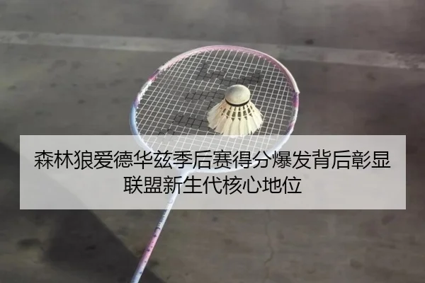 森林狼爱德华兹季后赛得分爆发背后彰显联盟新生代核心地位